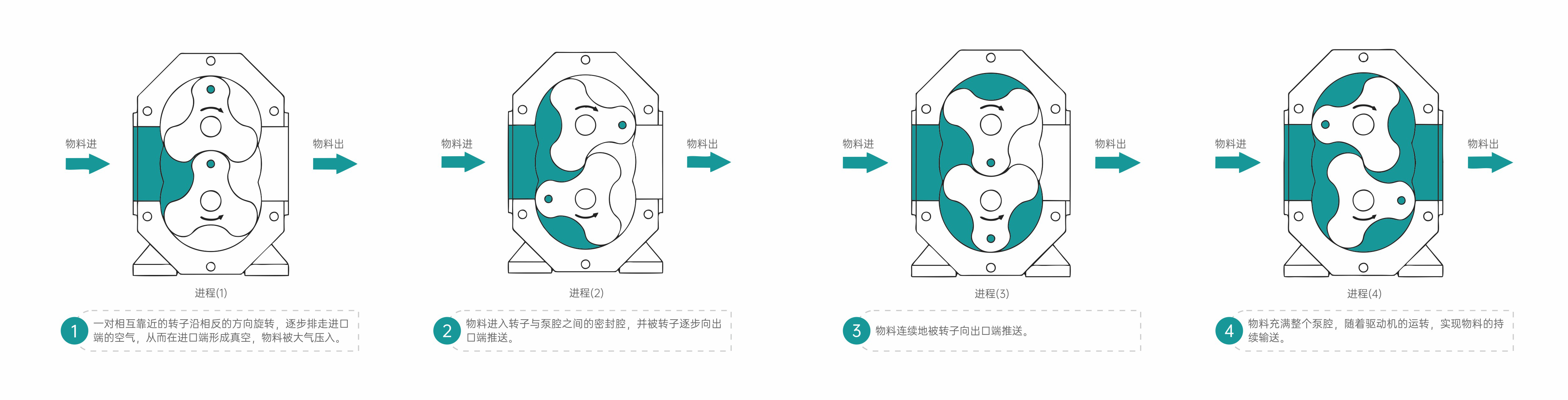 凸輪轉(zhuǎn)子泵工作原理